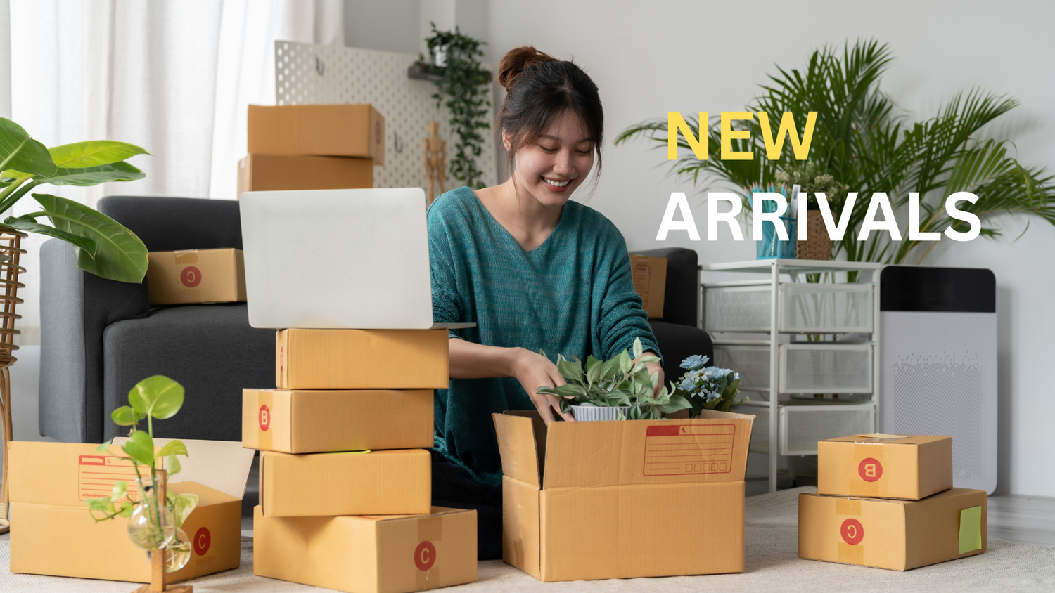 New arrivals