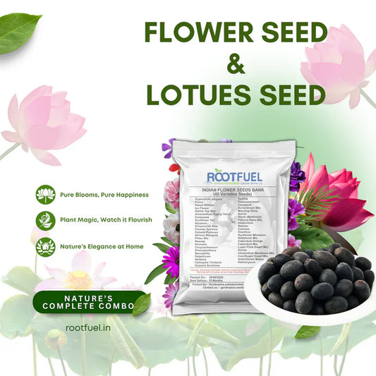 Varieties of Flower Seeds (Pack of 100) And Get Plant Growth Supplement Free